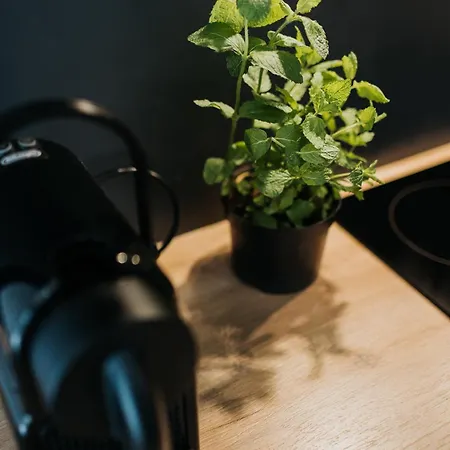 Domus Aurea Free Parking Garden Balcony * クラクフ