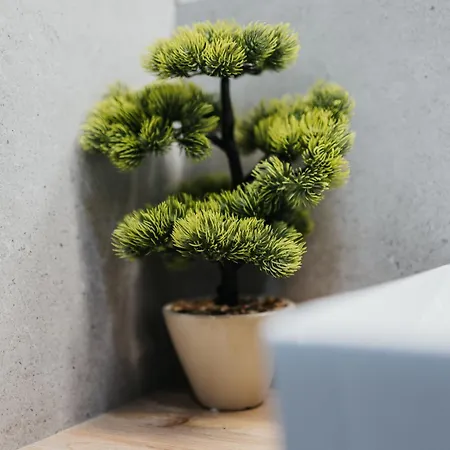 Domus Aurea Free Parking Garden Balcony Apartment Krakau