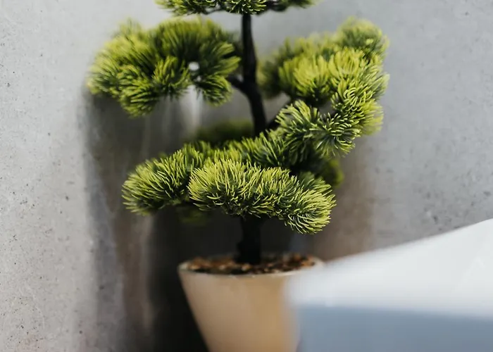 Domus Aurea Free Parking Garden Balcony Apartman Krakkó